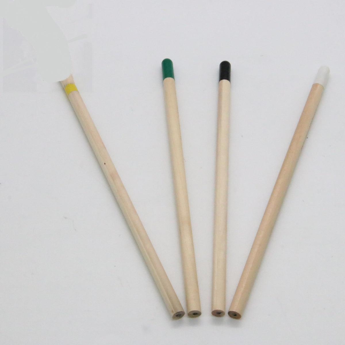 Plantable Seed Pencil — HB Graphite, Biodegradable Seed Capsule