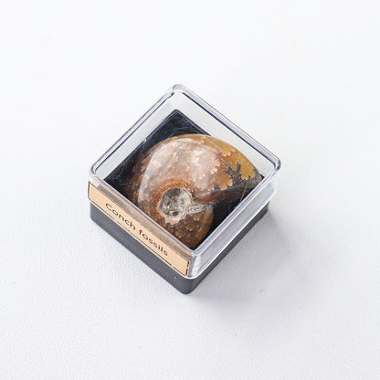 Natural Crystal Mineral Specimen
