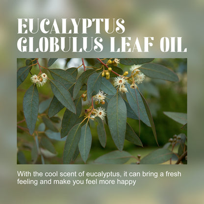 Eucalyptus Essential Oil | Body Care Massage Oil