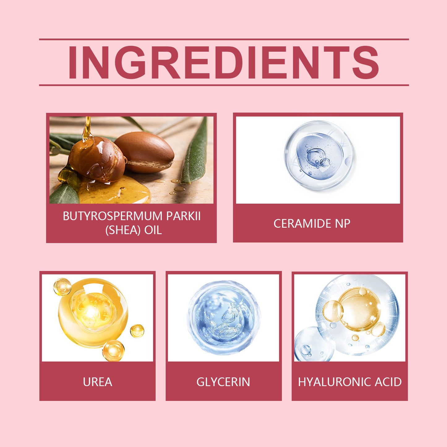 Nourishing Face Cream | Day And Night Moisturizer