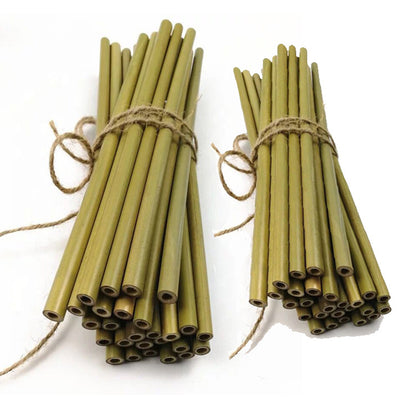 Bamboo Straws | Green & Yellow, Eco-Friendly