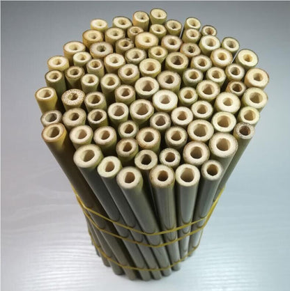 Bamboo Straws | Green & Yellow, Eco-Friendly