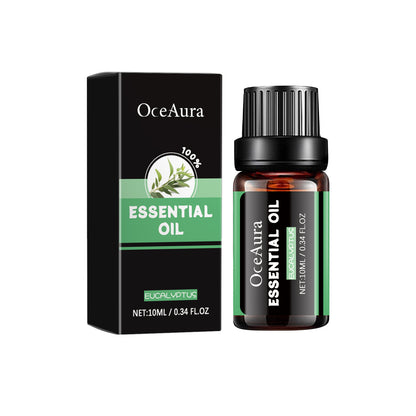 Eucalyptus Essential Oil | Body Care Massage Oil