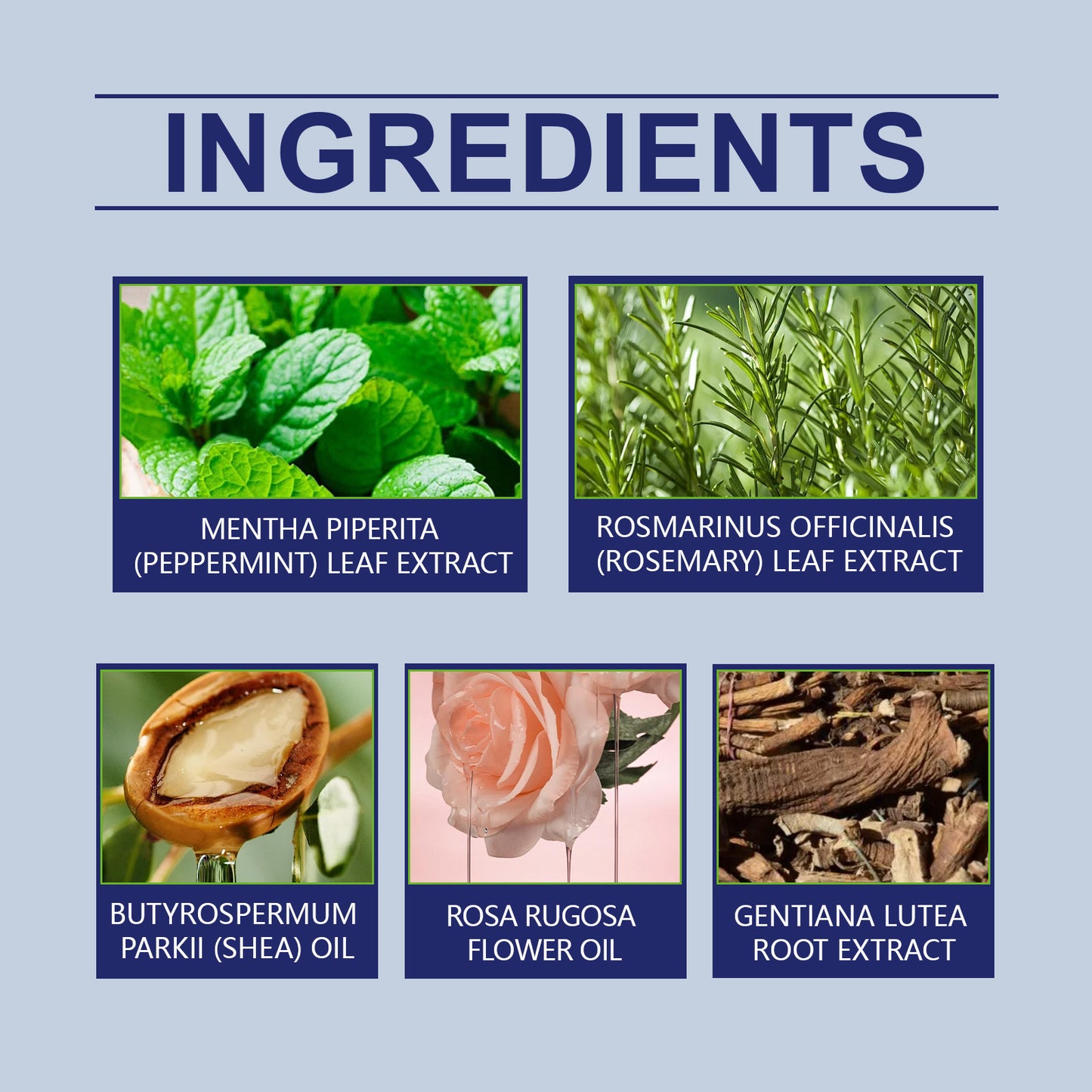 Herbal Balm | Moisturizing Skin Care for Insect Bites
