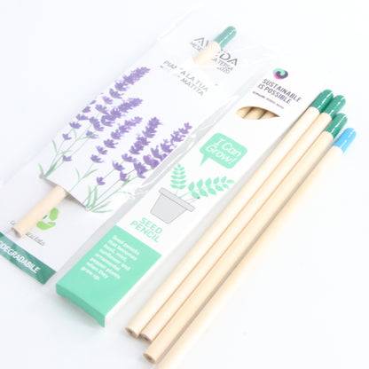 Plantable Seed Pencil — HB Graphite, Biodegradable Seed Capsule