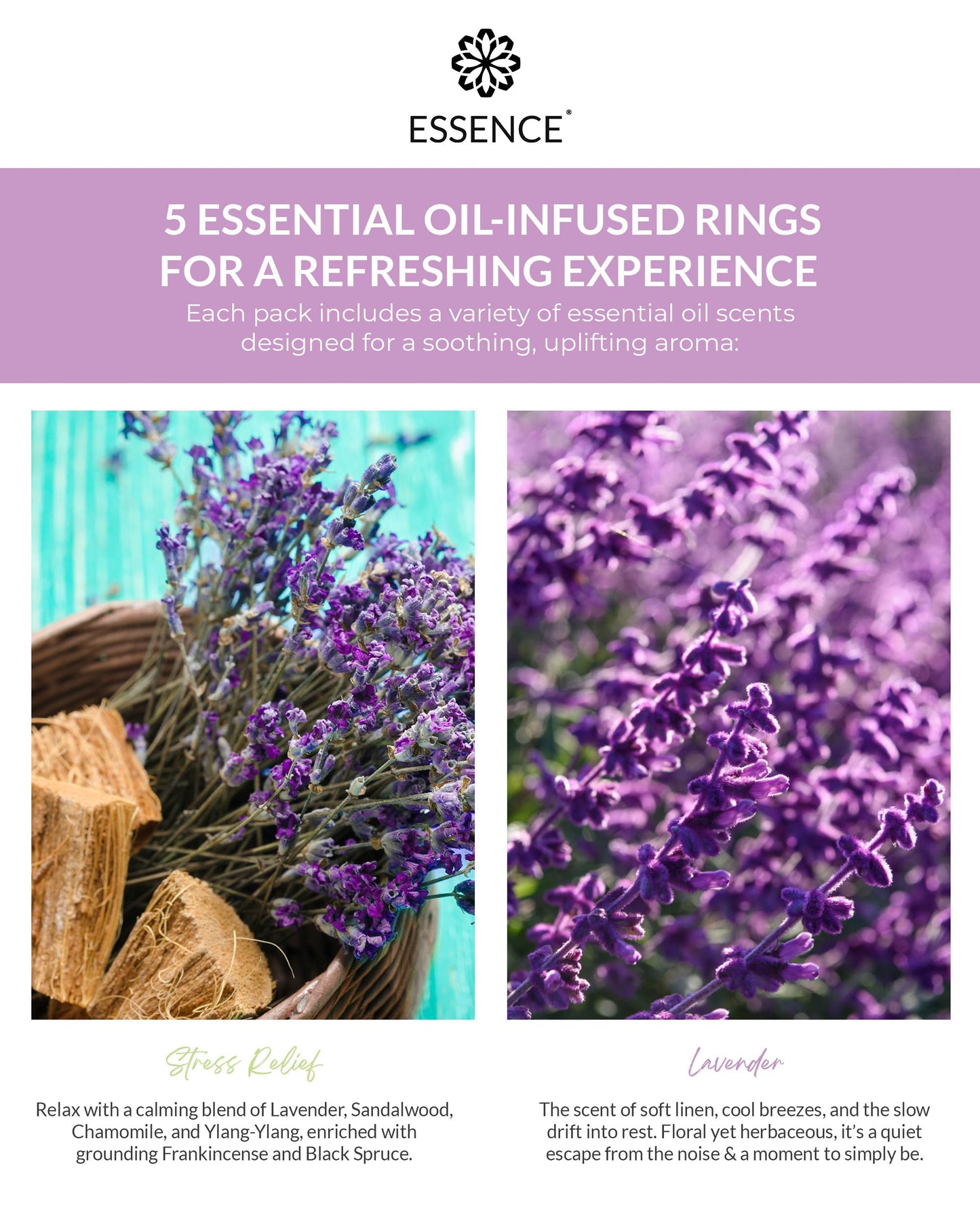 Essence Nasal Diffuser Self Care Bundle – Essential Oil Silicone Nose Rings for Stress, Energy & Mental Clarity – Wearable Aromatherapy Pack for Wellness & Mood Balance