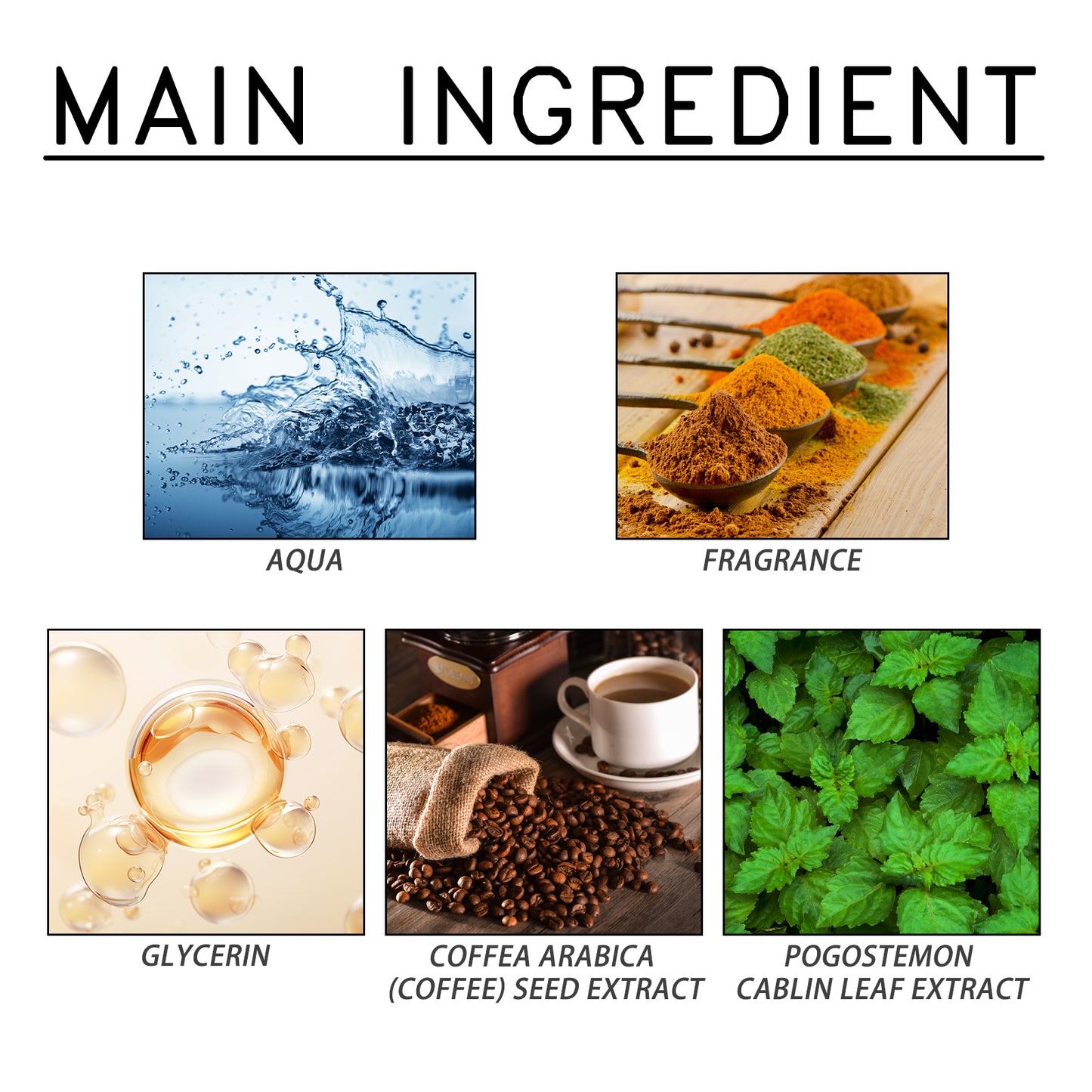Coffee Patchouli Fragrance | Long Lasting Perfume