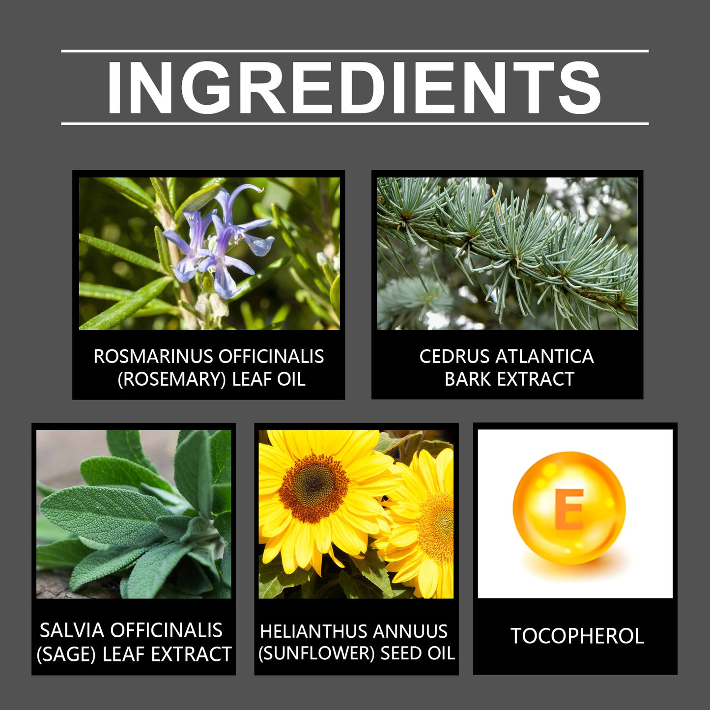 Rosemary Essential Oil | Massage for Skin Care