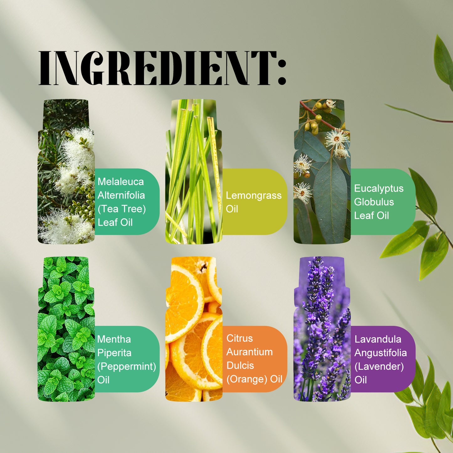 Essential Oil Set | Lavender, Sweet Orange, Lemongrass