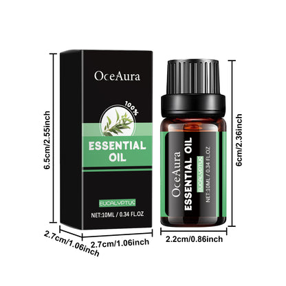 Eucalyptus Essential Oil | Body Care Massage Oil