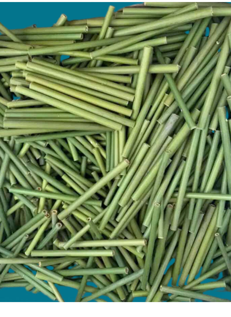 Bamboo Straws | Green & Yellow, Eco-Friendly