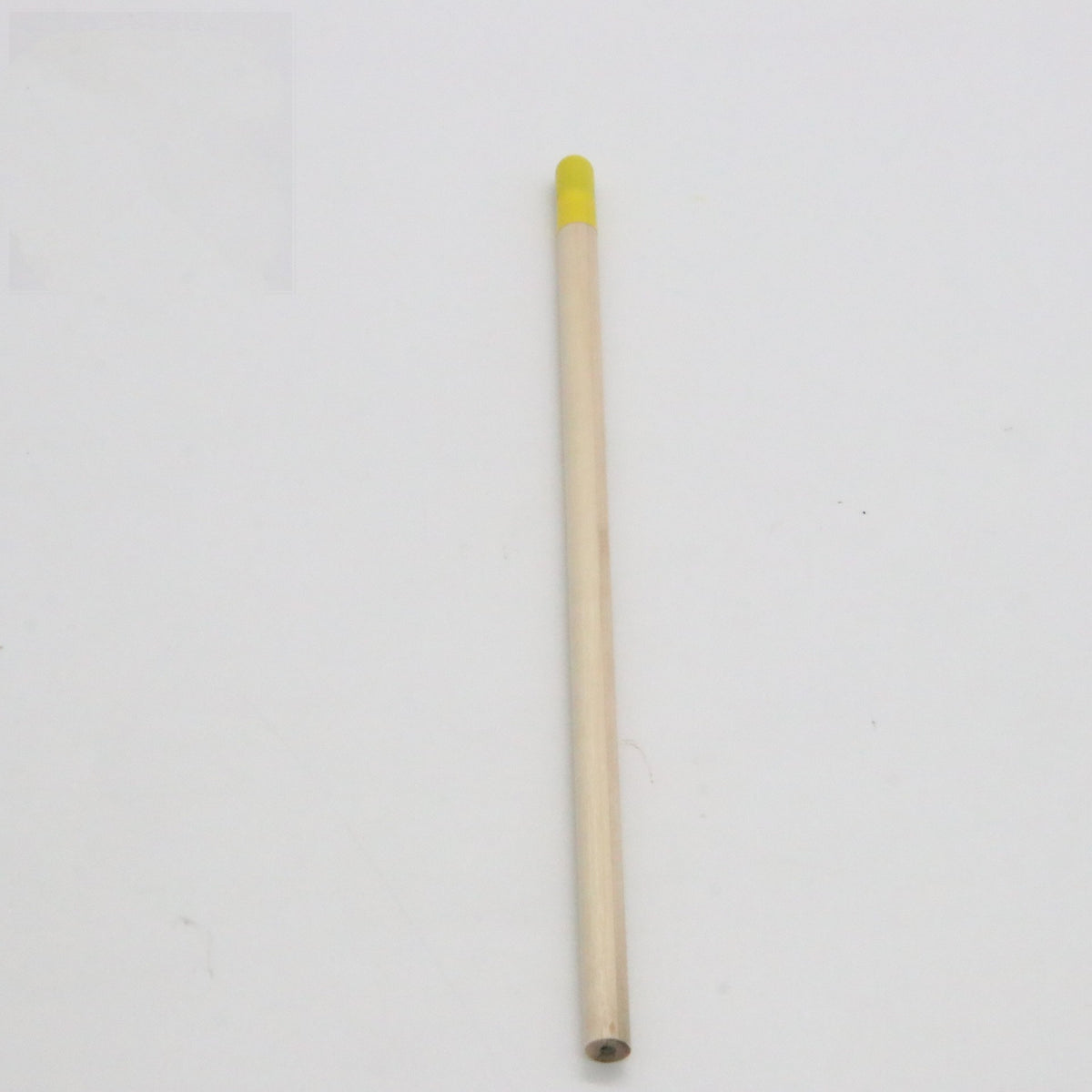 Plantable Seed Pencil — HB Graphite, Biodegradable Seed Capsule