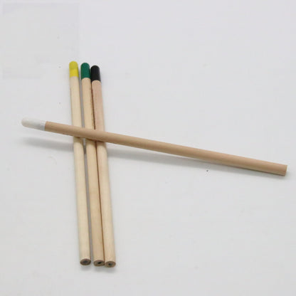 Plantable Seed Pencil — HB Graphite, Biodegradable Seed Capsule