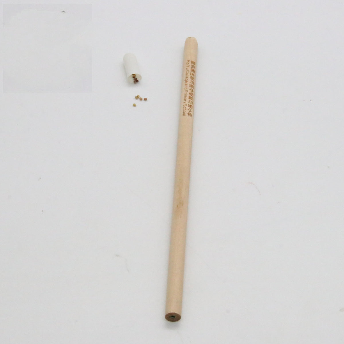 Plantable Seed Pencil — HB Graphite, Biodegradable Seed Capsule