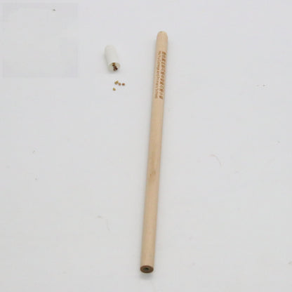 Plantable Seed Pencil — HB Graphite, Biodegradable Seed Capsule